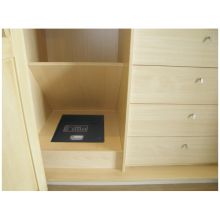 arregui basa 20000-S7 safe (2)