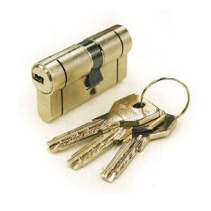 cisa asix oe300RA security cylinder (2)