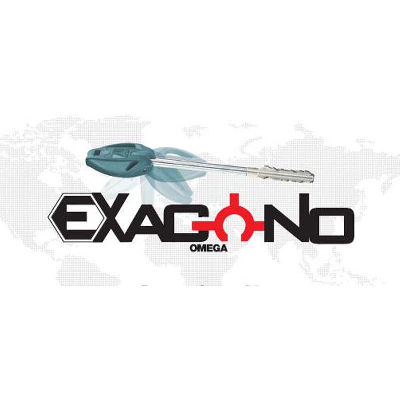 OMEGA EXAGONO LOGO